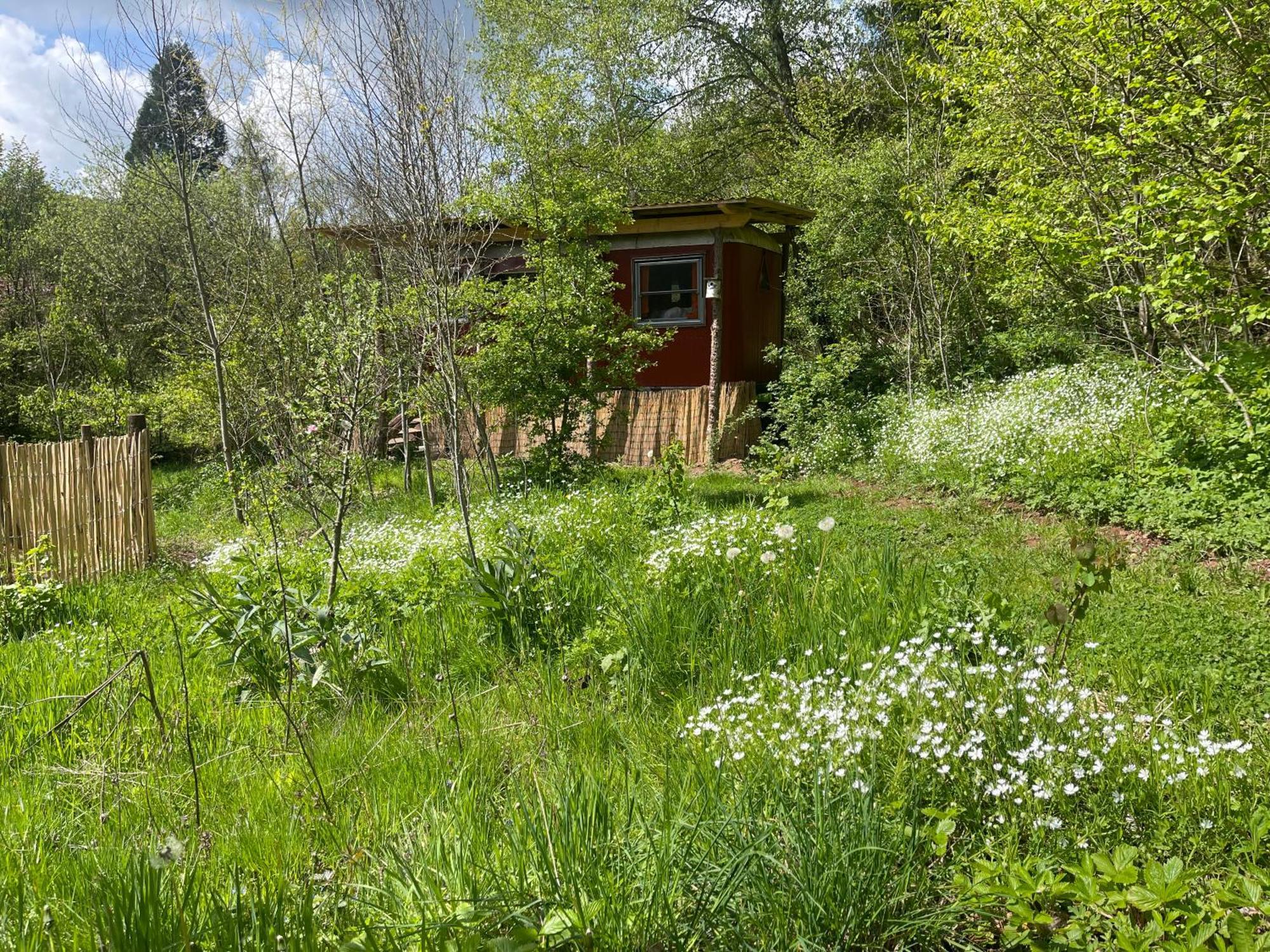 Kuscheliger Zirkuswagen Im Wildgarten วิทเซนเฮาเซน ภายนอก รูปภาพ